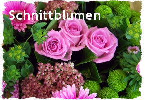 Schnittblumen